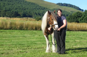 Horse Care